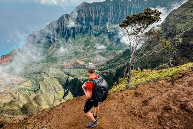 kauai hawaii kalepa ridge trail 5