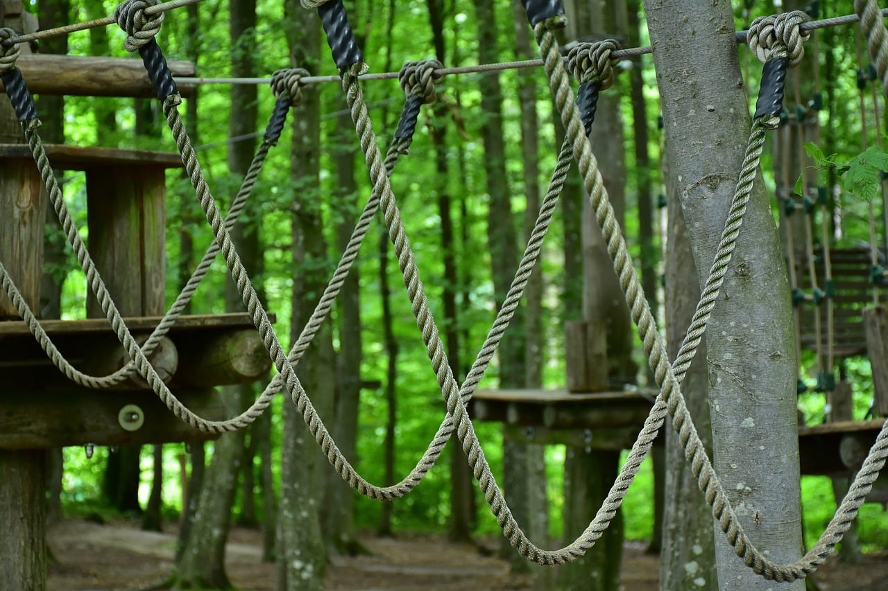 Kletterwald im Rheinland