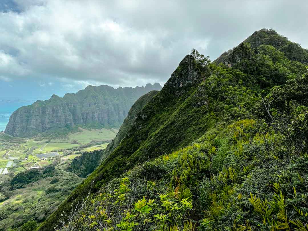 Oahu Hawaii Ausblick ins Tal beim Kahekili Trail