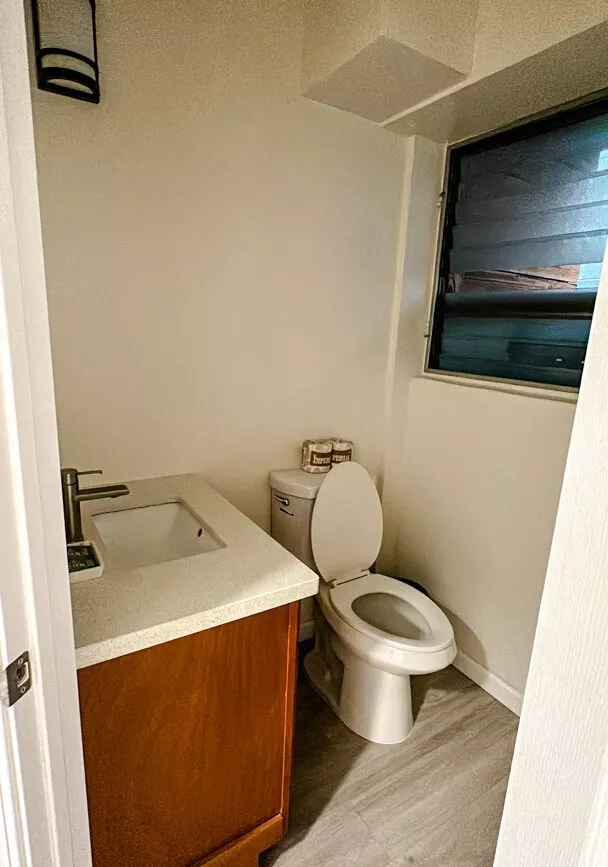 oahu hawaii bad honu waikiki by aloh