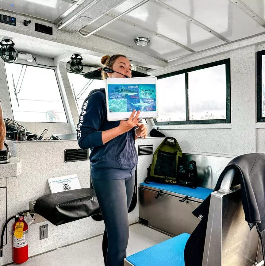 oahu hawaii one ocean diving