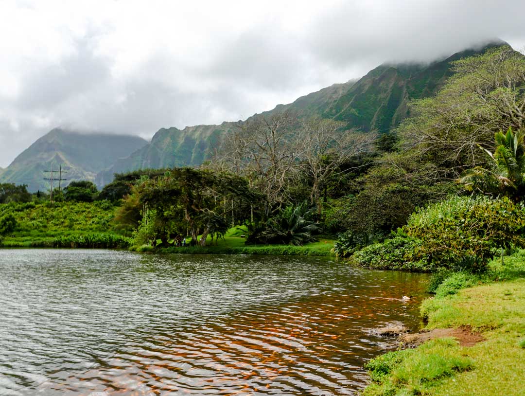 oahu hawaii see bei visitor center