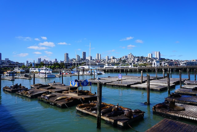 Kalifornien Sehenswürdigkeiten Pier 39