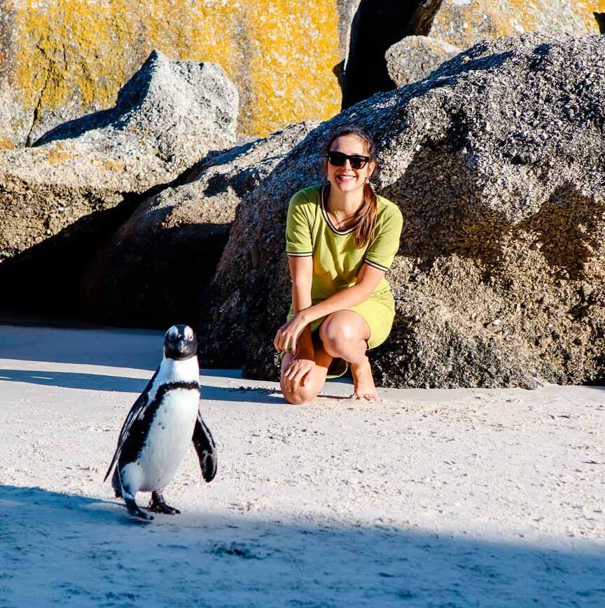 boulders beach suedafrika