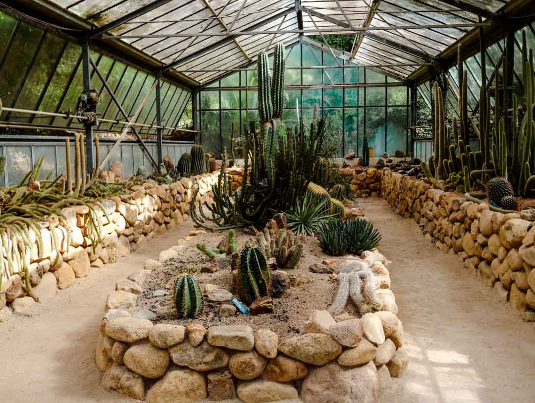 Cagliari Sehenswürdigkeiten Botanischer Garten 04