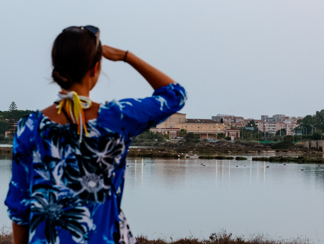 Cagliari Sehenswürdigkeiten Molentargius Saline 04