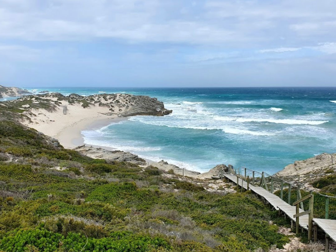 de hoop nature reserve coastal trail de hoop nature reserve coastal trail
