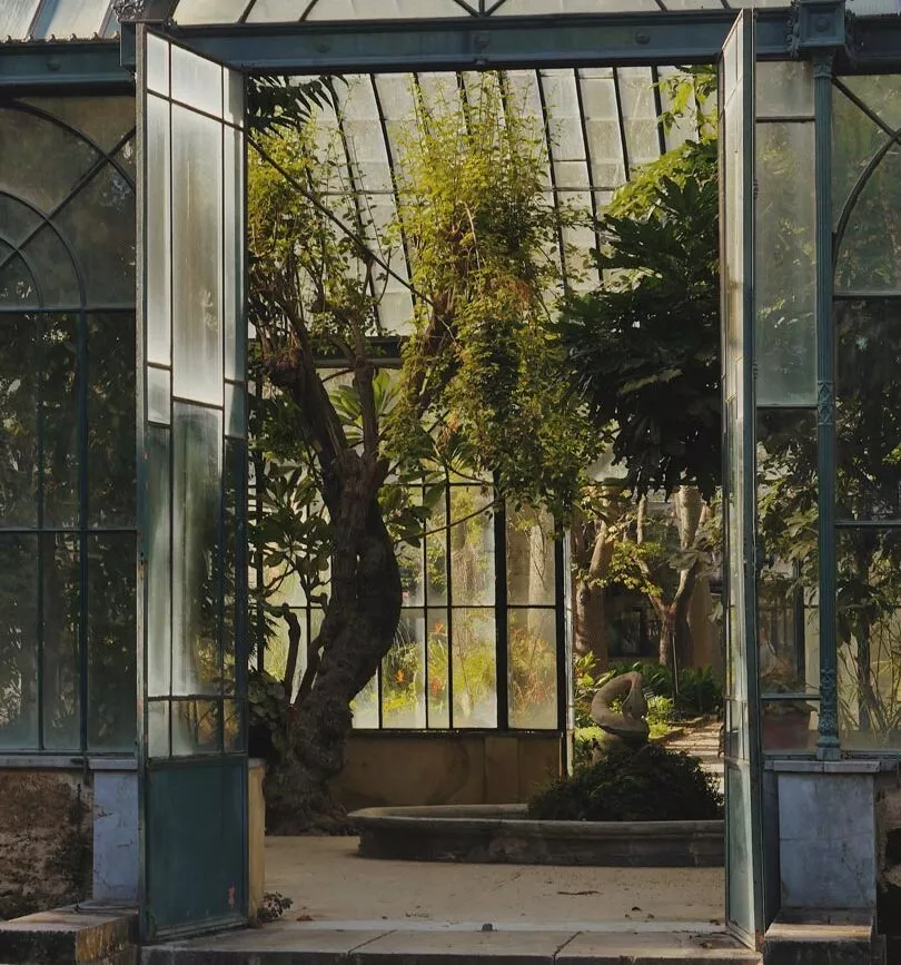 palermo sizilien botanischer garten 2