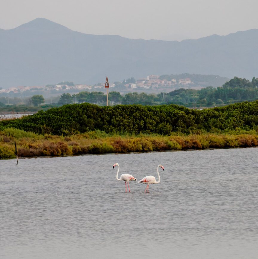 sardinien sehenswuerdigkeiten porto pino 02