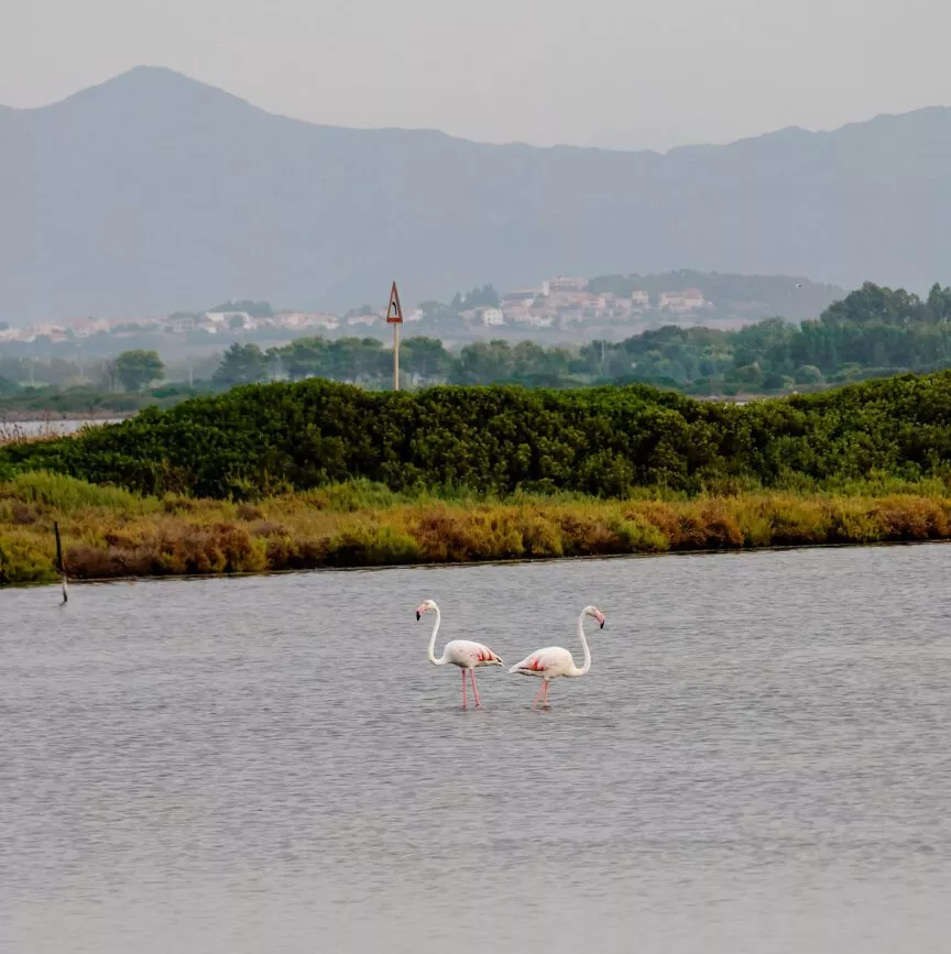 sardinien sehenswuerdigkeiten porto pino 02
