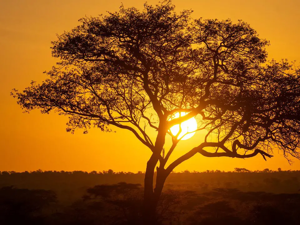 Schönste Orte Sonnenuntergang in der Serengeti