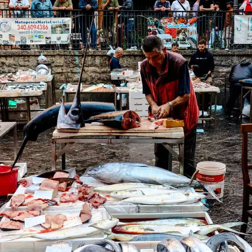 sizilien catania markt sizilien catania markt