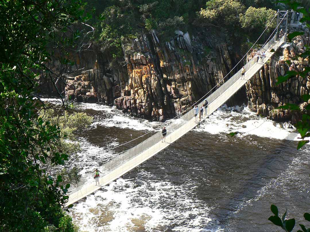 suedafrika tsitsikamma suspension bridge suedafrika tsitsikamma suspension bridge