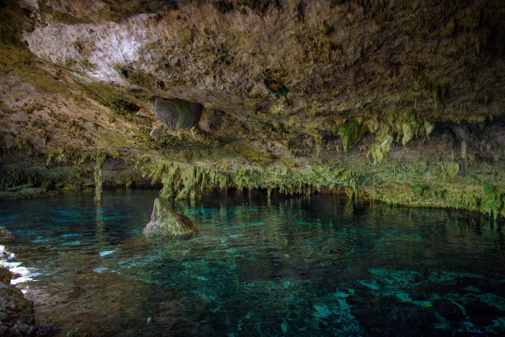 Cenote Dos Ojos with Clear Blue Water Cenote Dos Ojos
