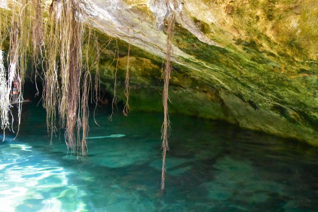 Gran Cenote Gran Cenote in Tulum