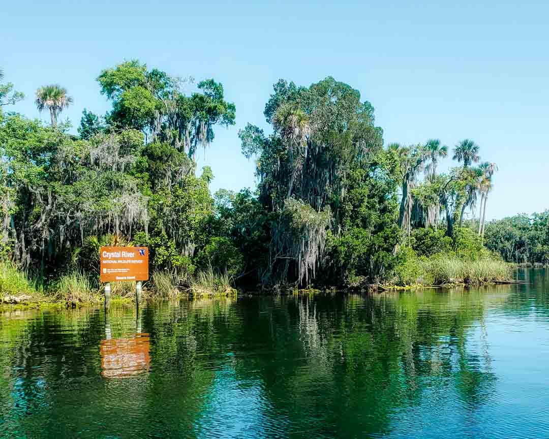 crystal river schild im see crystal river schild im see