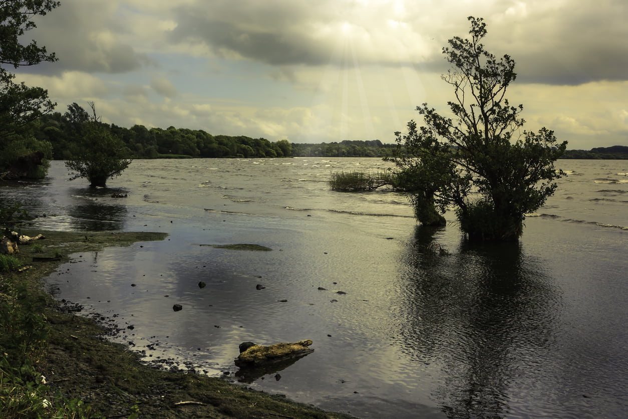 iStock 1359663569 Antonio Filippi iStock 1359663569 Antonio Filippi