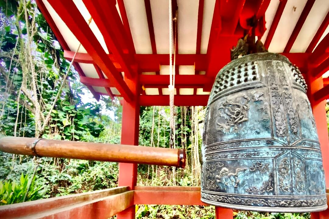 iStock-1862815448_samuel_howell