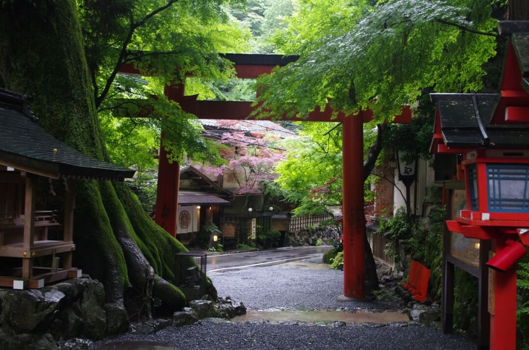 iStock-960563118_ICHIBANHIGASHI