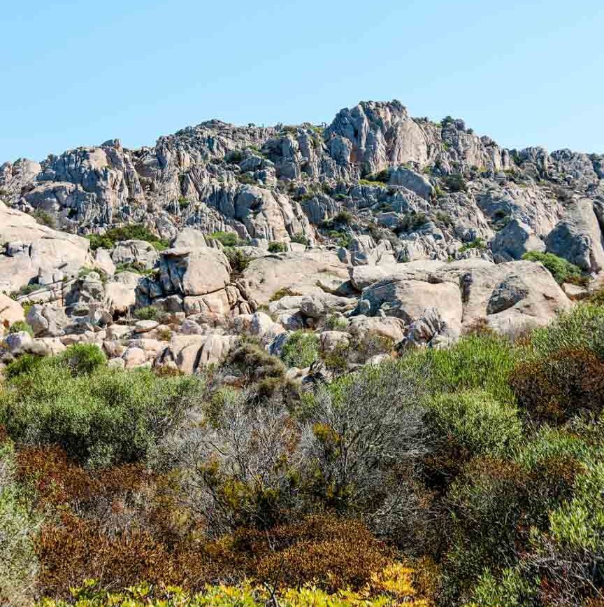 la maddalena sardinien blick auf messa del cervo