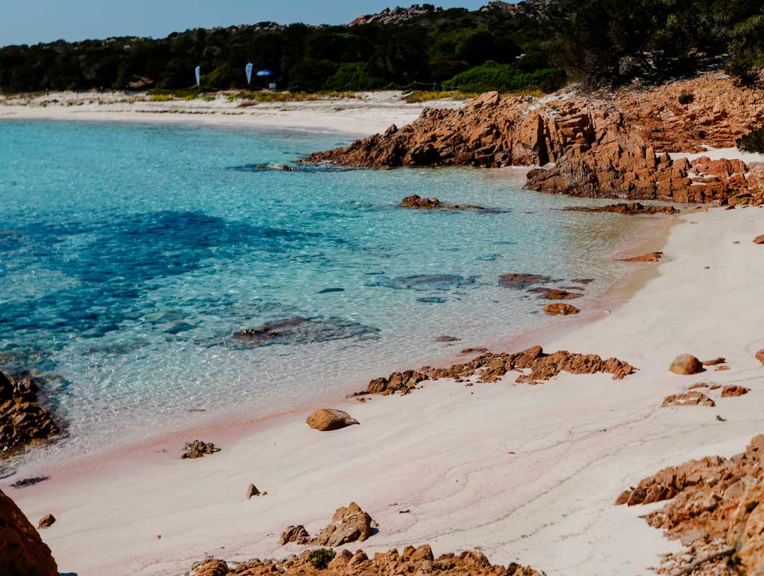 la maddalena sardinien pink beach 1