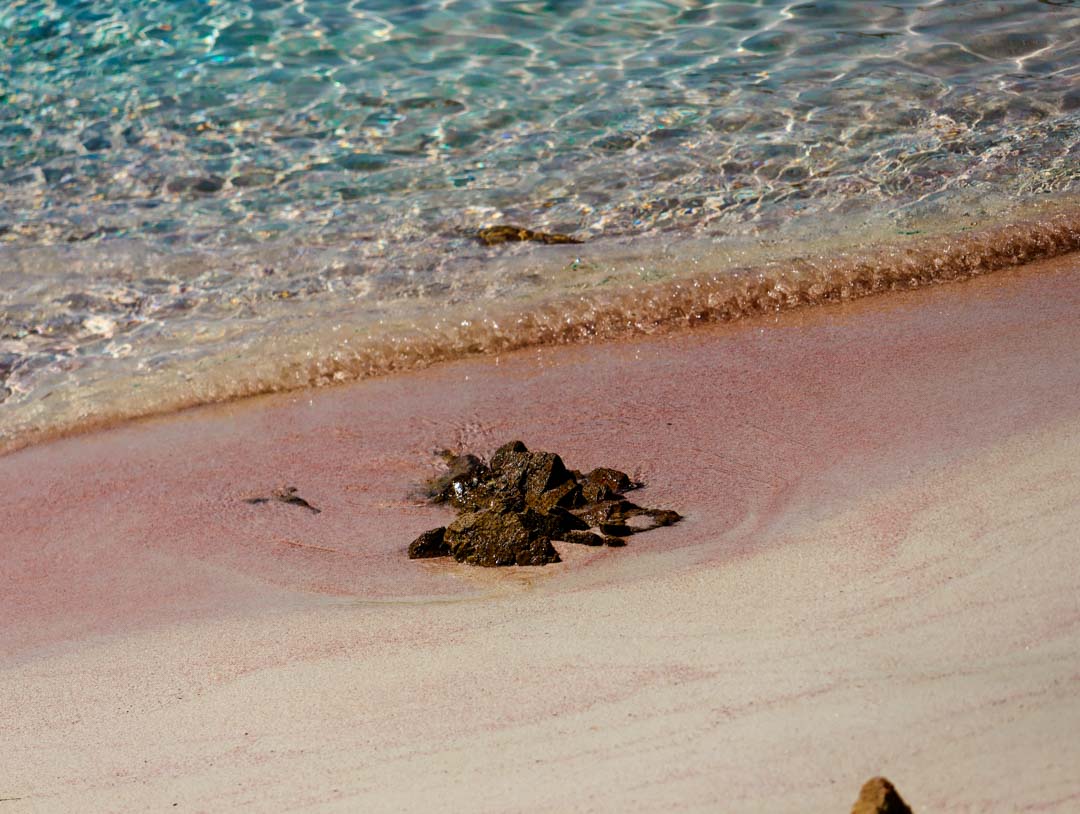 la maddalena sardinien pink beach 2