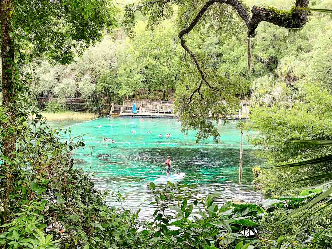 ocala quelle mit kayaker ocala quelle mit kayaker