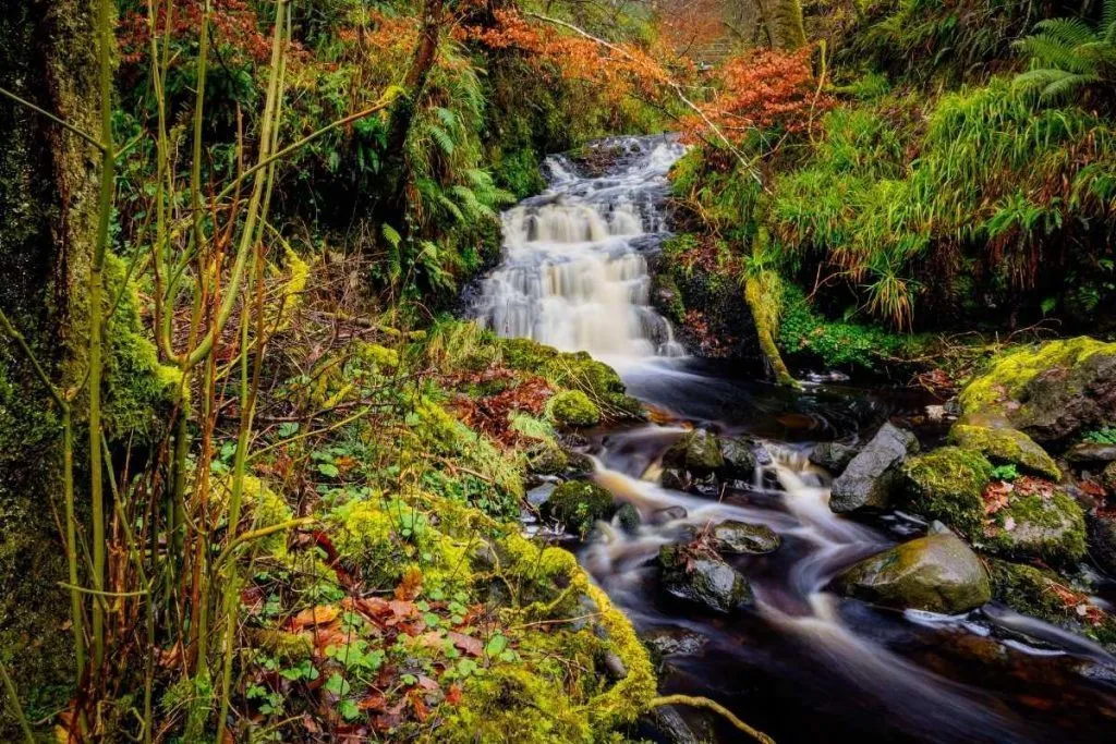 glenariff forest park irland sehenswuerdigkeiten Glenariff Forest Park-Irland-Sehenswürdigkeiten