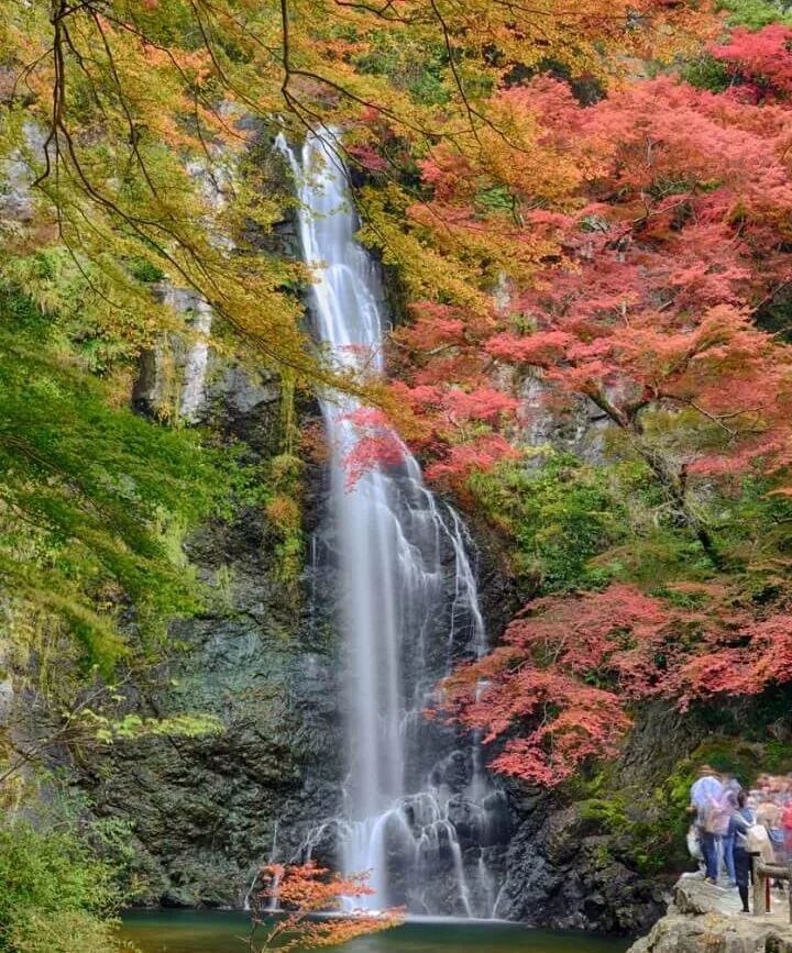 iStock 1194906358 smshoot