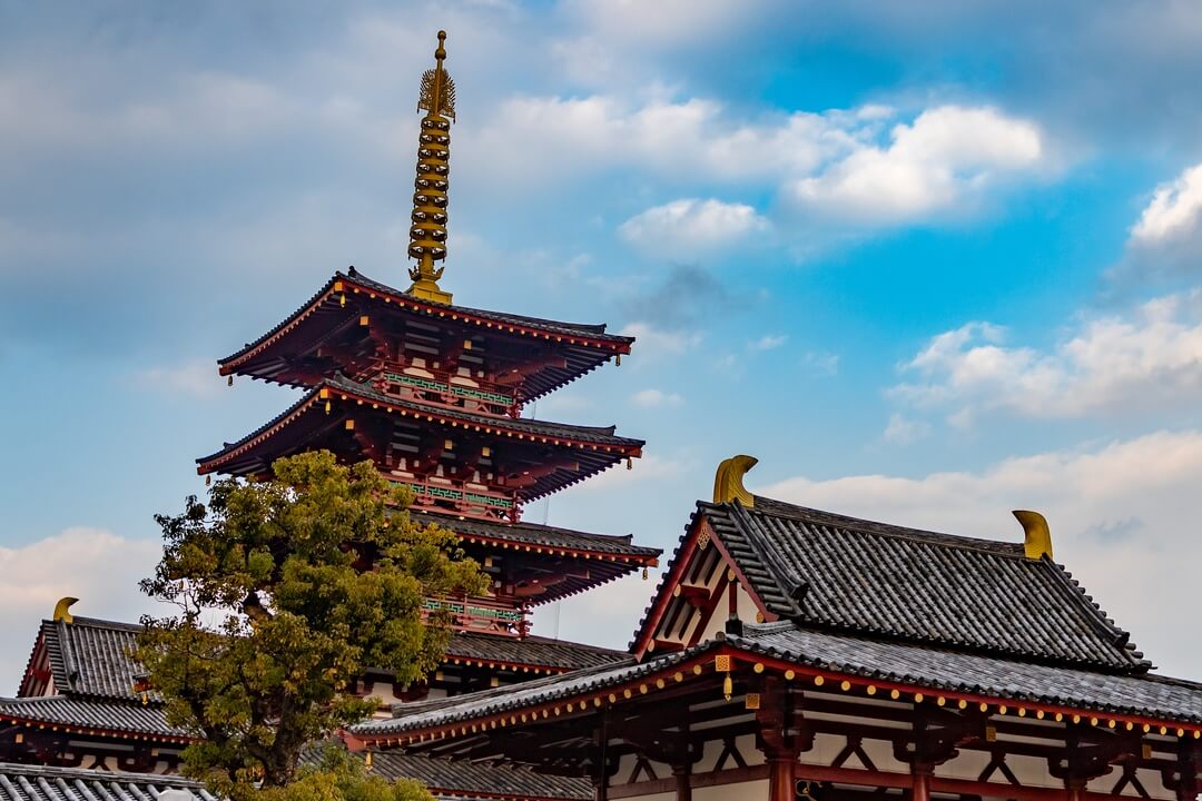 iStock 1365621923 brunocoelhopt