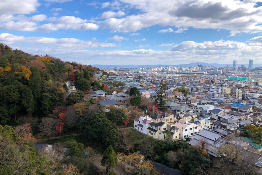 iStock 1451599443 AndrewBanham