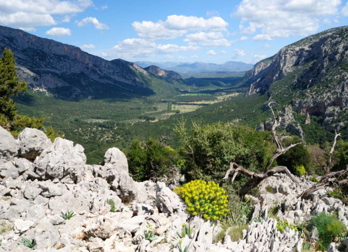 Cala Gonone Tal von Lanaittu