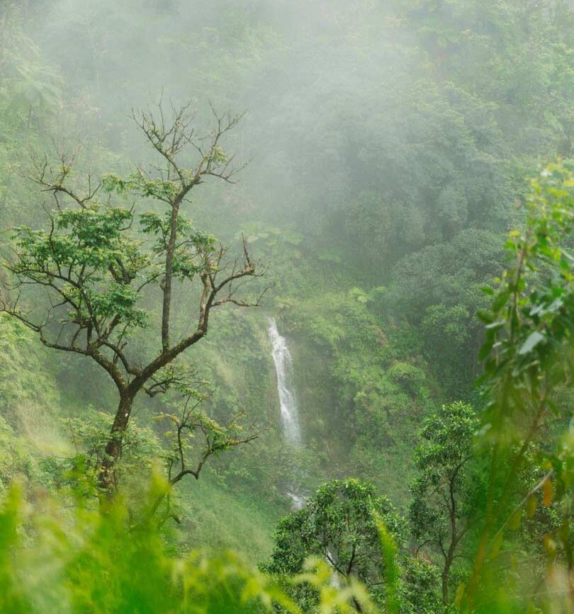 maui hawaii road to hana wasserfaelle