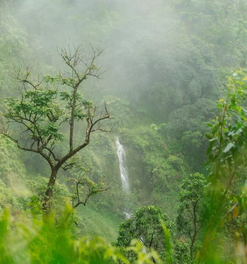 maui hawaii road to hana wasserfaelle Maui Hawaii Road to Hana Wasserfälle