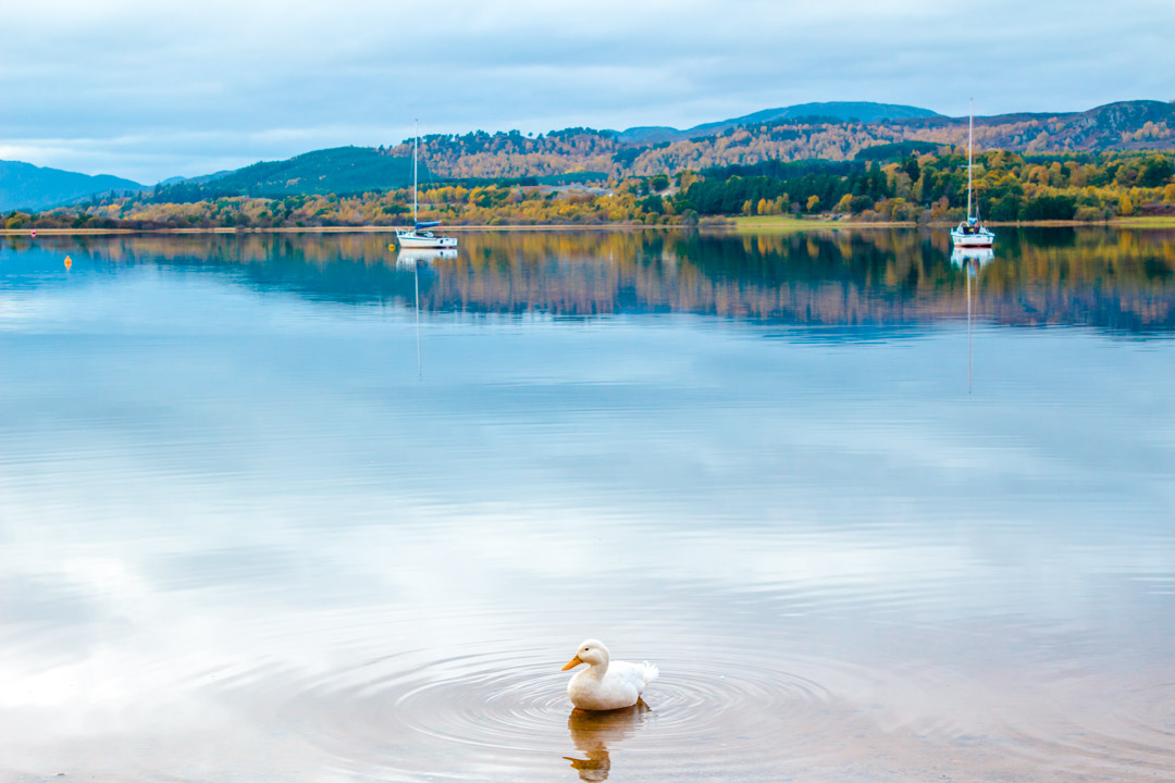 schottland loch morlich