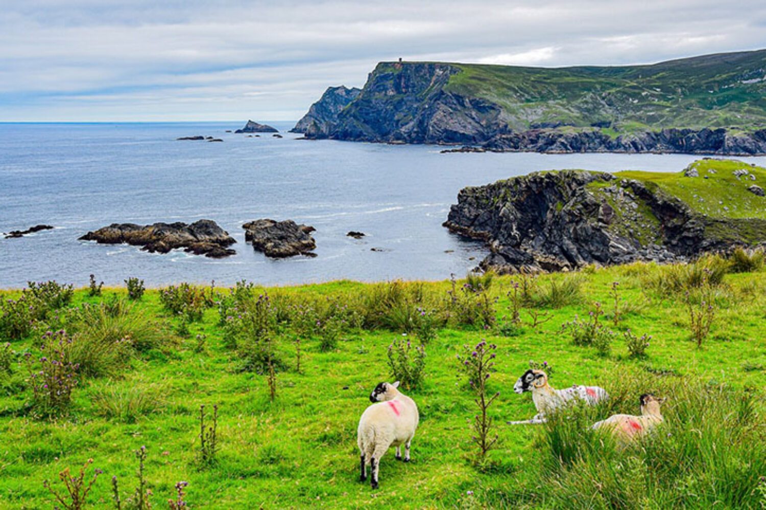 Irland Roadtrip: 3 Routen für eine Rundreise mit dem Auto | Blog