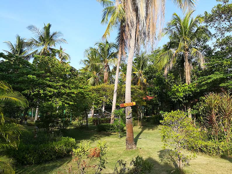 thailand koh lanta garten
