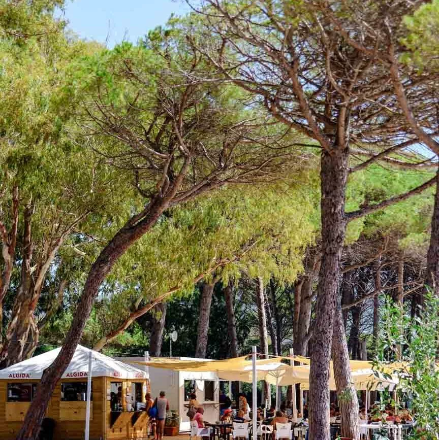 alghero spiaggia di mugoni