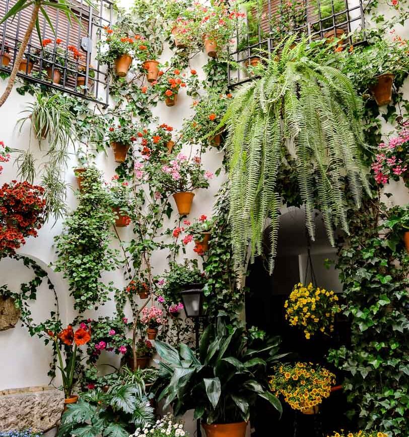 andalusischer innenhof mit pflanzen in haengetoepfen