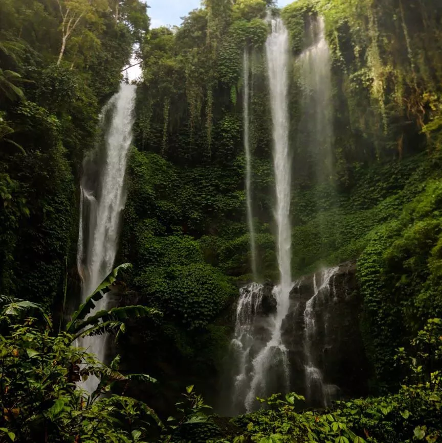 ausflug zum sekumpul wasserfall bali ausflug zum sekumpul wasserfall bali