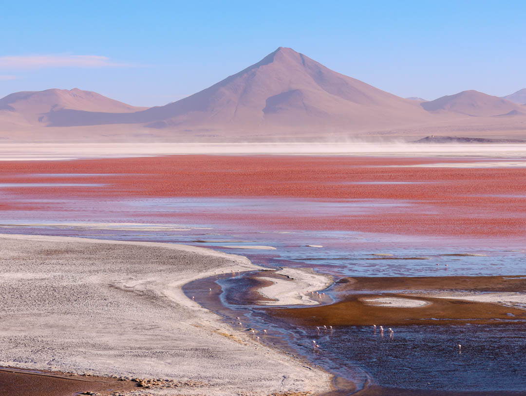 bolivien laguna colorado