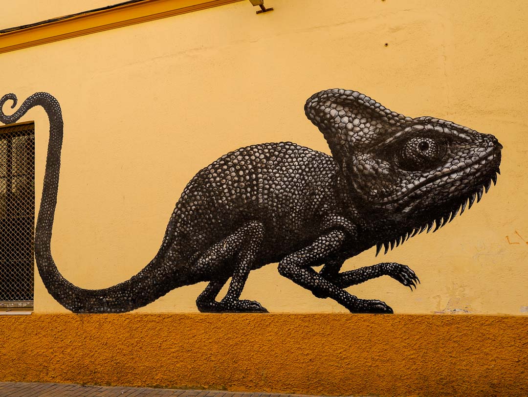 chamaeleon streetart auf andalusischer mauer