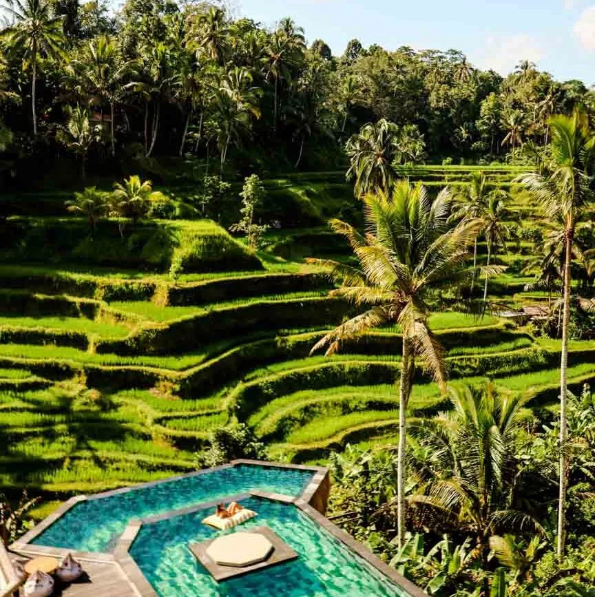 d tukad coffee club bei den tegallalang reisterrassen d tukad coffee club bei den tegallalang reisterrassen