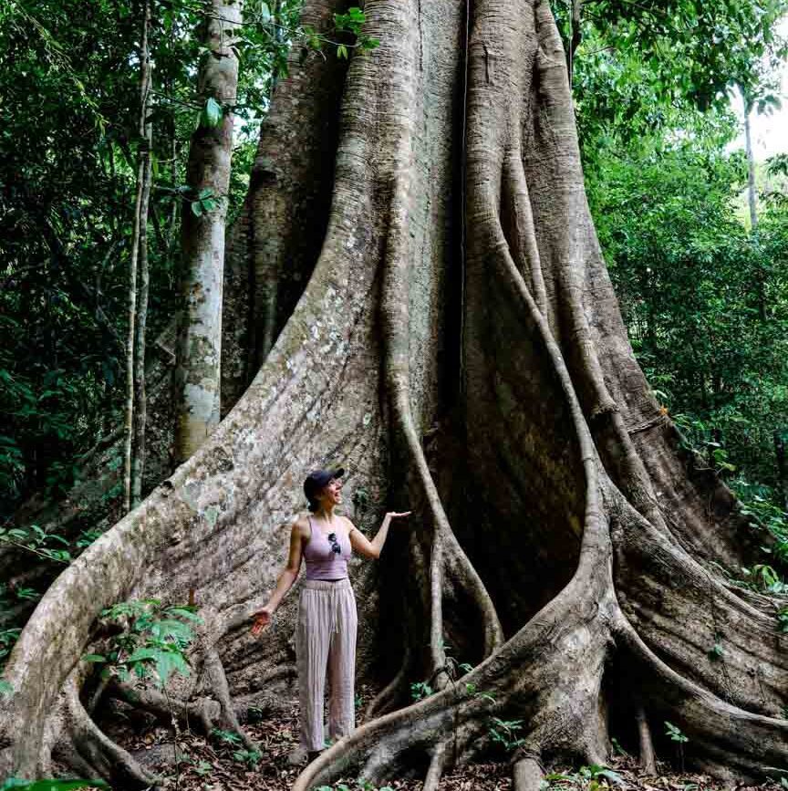 frau neben baum im dschungel von puerto maldonado