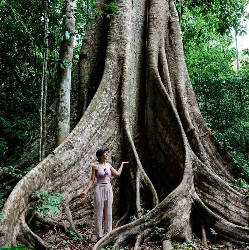 frau neben baum im dschungel von puerto maldonado