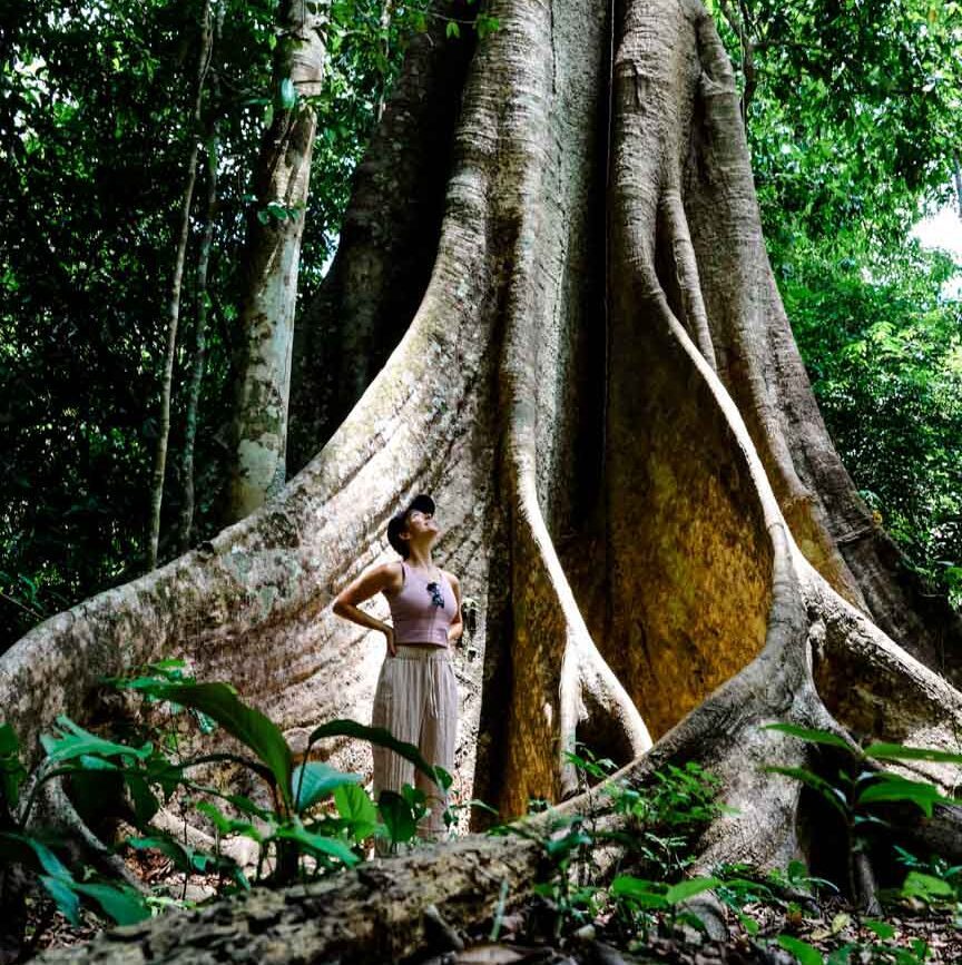 frau steht vor baum im dschungel von puerto maldonado