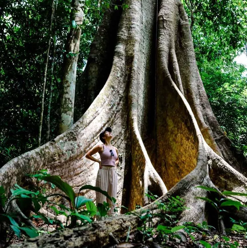 frau steht vor baum im dschungel von puerto maldonado