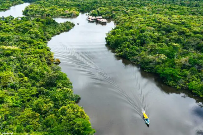 Peru Dschungel Puerto Maldonado Amazonas