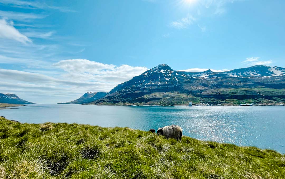island seydisfjoerdur landschaft