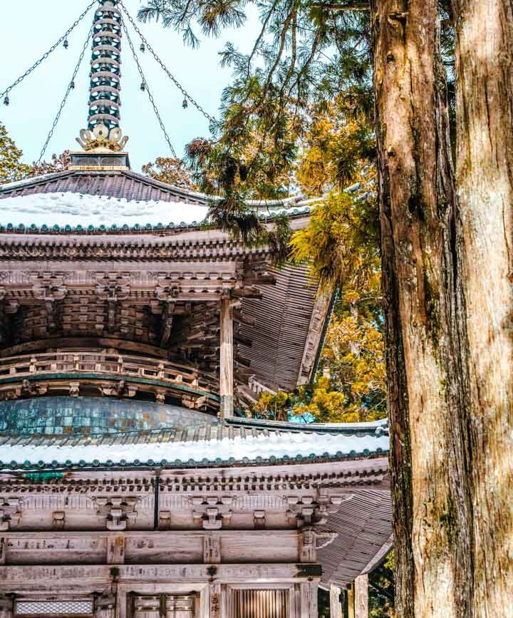 japan holzpagoda im danjo garan komplex